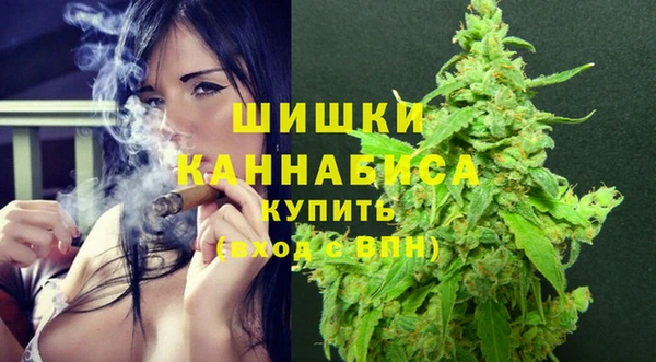 ПСИЛОЦИБИНОВЫЕ ГРИБЫ Кадников